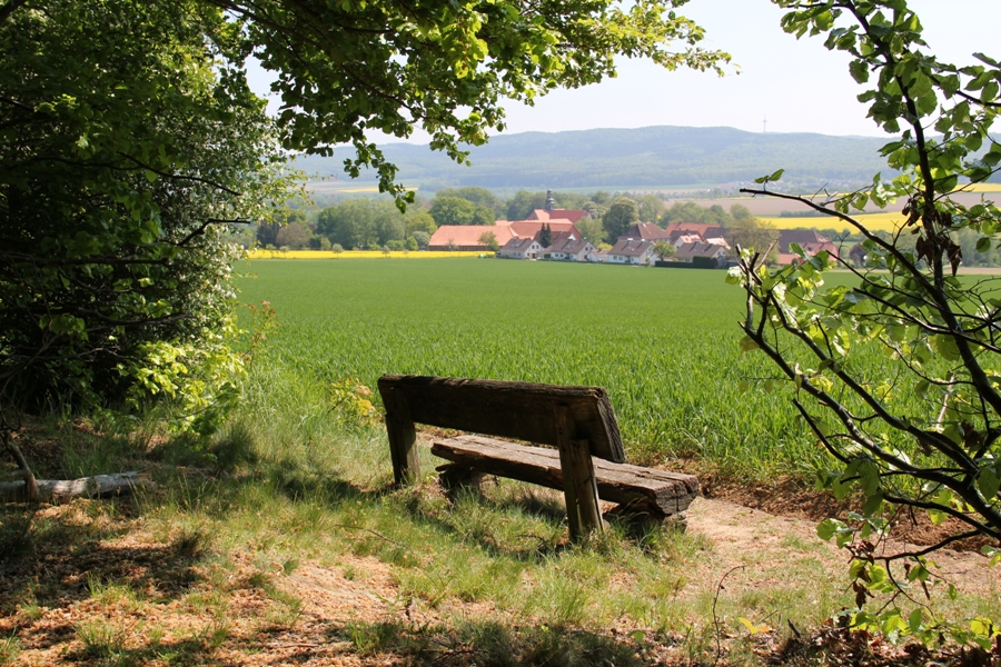 Bank am Waldrand mit Klosterblick