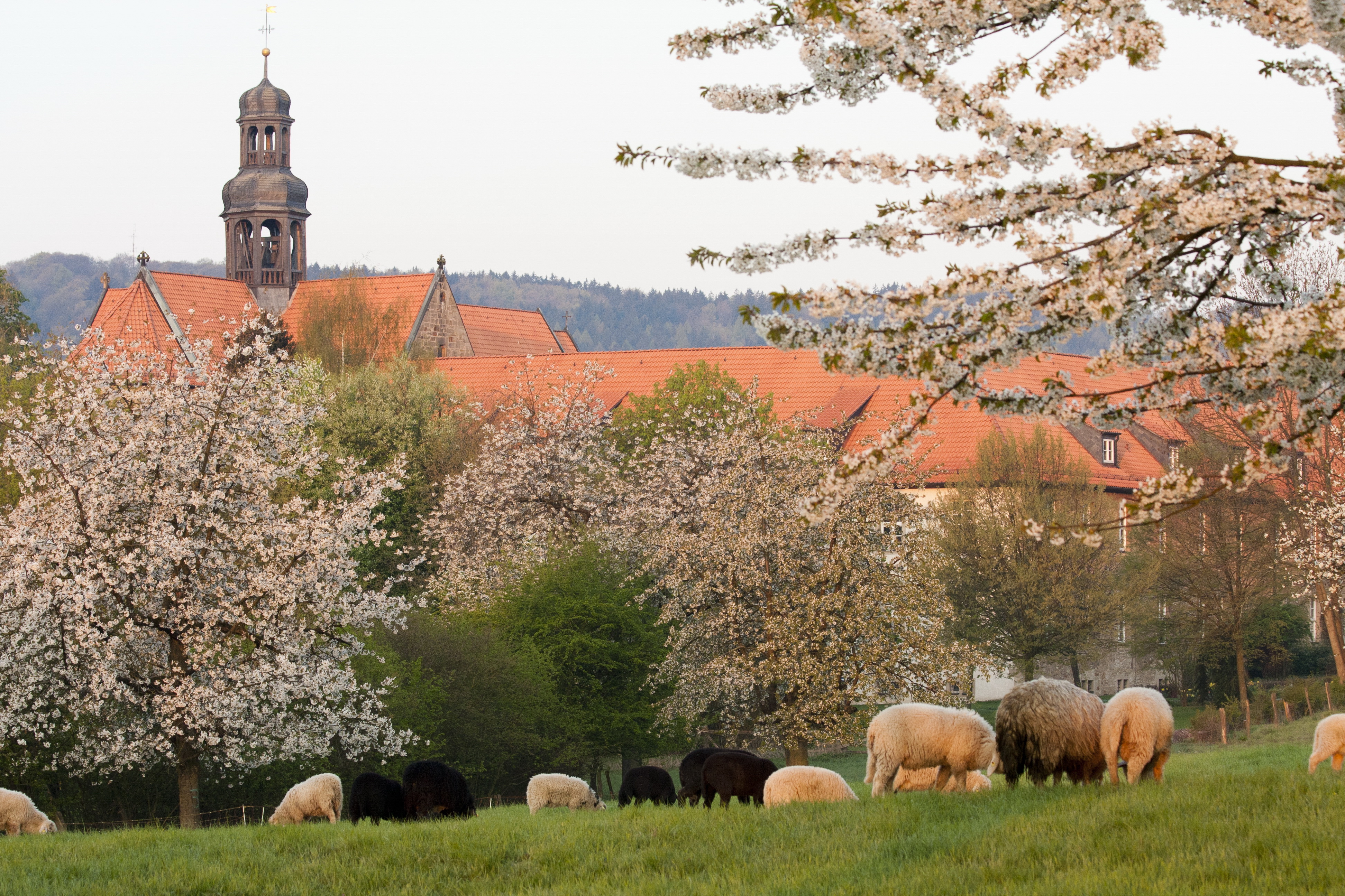 Frühling